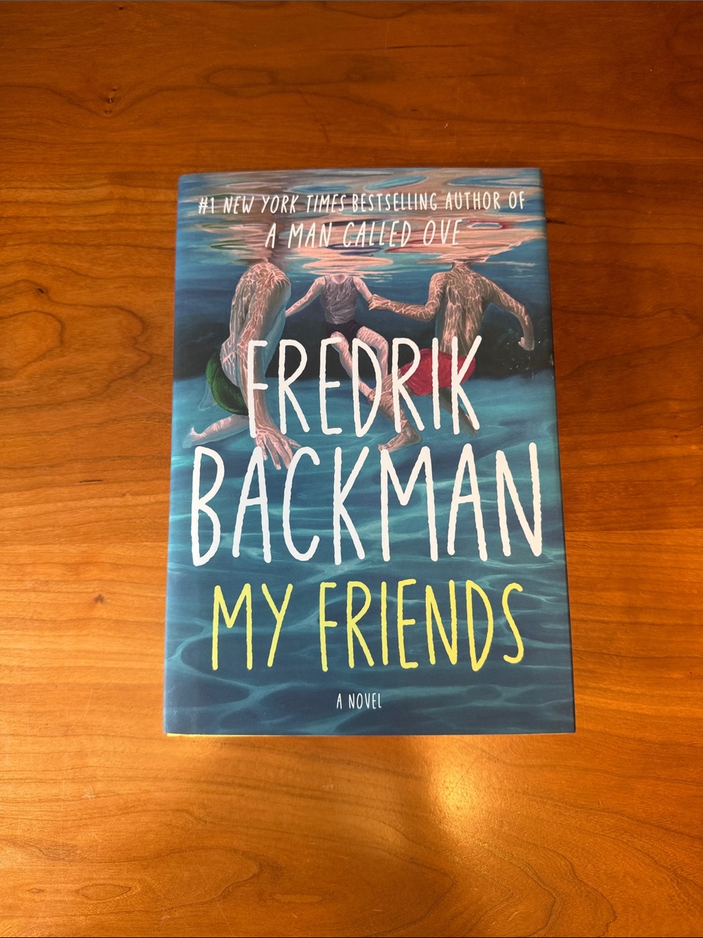 My Friends - Blue Hardcover Novel
